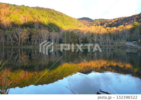秋色に染まる志賀高原木戸池 ダケカンバ紅葉の風景 秋色に染まる志賀高原木戸池 ダケカンバ紅葉の風景 132396522