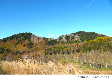 秋色に染まる志賀高原　田ノ原湿原の紅葉の風景 132396533