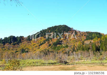 秋色に染まる志賀高原　田ノ原湿原の紅葉の風景 132396536