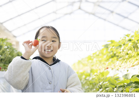 イチゴ狩りを楽しむ女の子 イチゴ狩りを楽しむ女の子 132396801