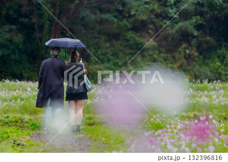 雨に濡れる恋とコスモス 132396816