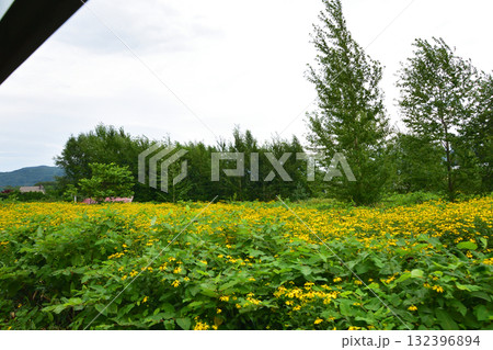 JR北海道石北本線白滝駅から上川駅間の風景(2023年夏) 132396894