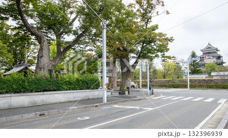 松本神社前　松本城とケヤキの巨木群　長野県 132396939