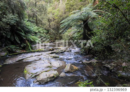 The Cumberland falls in Australia The Cumberland falls in Australia 132396969