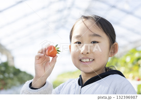 イチゴ狩りを楽しむ女の子 イチゴ狩りを楽しむ女の子 132396987