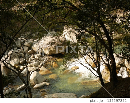 森の中の小さな滝 132397232