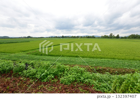 JR北海道石北本線中愛別駅から伊香牛駅間の風景(2023年夏) 132397407