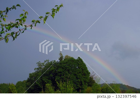 雨上がりの虹 雨上がりの虹 132397546