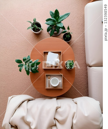 Elevated View of Cozy Living Room: Circular Table with Plants and Decor 132398549