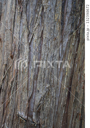 様々な植物のクローズアップ 132398672