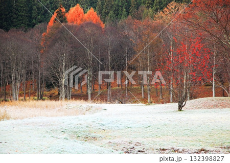 降霜と紅葉した森 降霜と紅葉した森 132398827