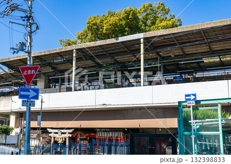 大阪府寝屋川市萱島本町の萱島神社 大楠大明神(神木の大楠) 大阪府寝屋川市萱島本町の萱島神社 大楠大明神(神木の大楠) 132398833