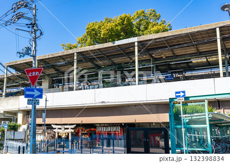 大阪府寝屋川市萱島本町の萱島神社 大楠大明神(神木の大楠) 大阪府寝屋川市萱島本町の萱島神社 大楠大明神(神木の大楠) 132398834