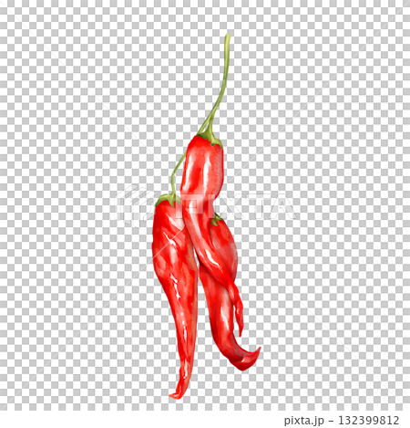 Hand-drawn illustration featuring a small cluster of red chili peppers hanging from a stem 132399812