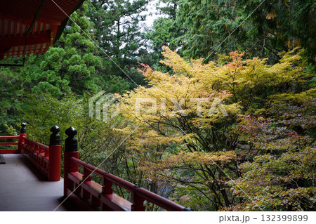 比叡山の紅葉した樹木 132399899