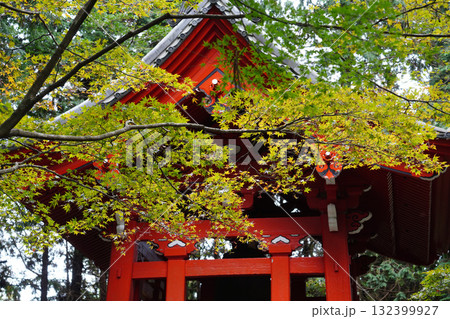 紅葉が始まった楓と延暦寺の朱塗りの建物 132399927