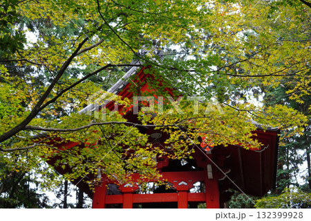 紅葉が始まった楓と延暦寺の朱塗りの建物 132399928