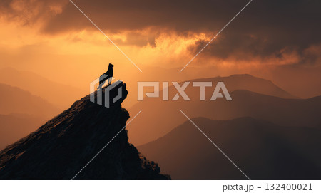 Wolf silhouette mountain peak sunset dramatic sky wilderness solitude nature landscape adventure dusk. lone wolf stands rocky cliff bathed golden Wolf silhouette mountain peak sunset dramatic sky wilderness solitude nature landscape adventure dusk. lone wolf stands rocky cliff bathed golden 132400021