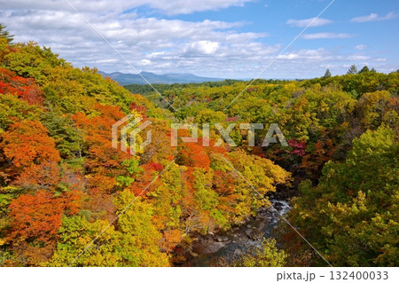 岩手県八幡平市を流れる松川渓谷の紅葉の風景 132400033