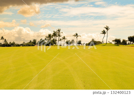 ハワイ（オアフ島）の休日（ゴルフライフ）カポレイNO7 132400123