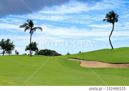 ハワイ（オアフ島）の休日（ゴルフライフ）カポレイNO7 132400125