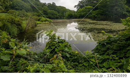 信州斑尾高原の夏 赤池のある風景 飯山市 長野県 信州斑尾高原の夏 赤池のある風景 飯山市 長野県 132400899
