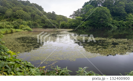 信州斑尾高原の夏 赤池のある風景 飯山市 長野県 信州斑尾高原の夏 赤池のある風景 飯山市 長野県 132400900