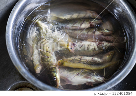 Variety Of Freshwater Fish Being Washed In Basin, A mix of freshwater fish is cleaned in a basin, water splashing with vitality, great for a vivid photo or a nature inspired visual promotion. Variety Of Freshwater Fish Being Washed In Basin, A mix of freshwater fish is cleaned in a basin, water splashing with vitality, great for a vivid photo or a nature inspired visual promotion. 132401084