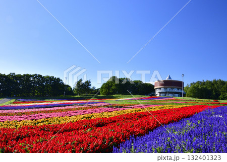 網走天都山はなてんとの花壇 132401323