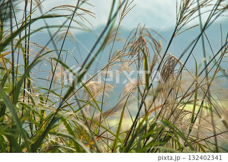 三瓶山の風景 132402341