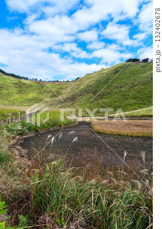 水が干上がったお亀池と亀山峠 曽爾高原にて 水が干上がったお亀池と亀山峠 曽爾高原にて 132402678