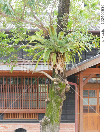 景色 風景 観光地 132403656