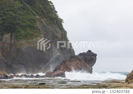 大しけのかえる島 大しけのかえる島 132403788