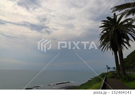 堀切峠 海岸 海 曇り空 ヤシの木 堀切峠 海岸 海 曇り空 ヤシの木 132404141