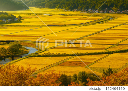 日本の田園風景のイメージ 132404160