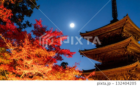 【AI生成画像】京都風 三重塔と秋の名月 【AI生成画像】京都風 三重塔と秋の名月 132404205