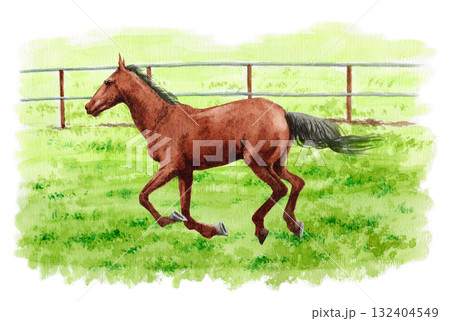 アナログ水彩画牧場を駆ける馬 132404549