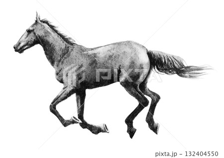 アナログモノトーン画駆ける馬 アナログモノトーン画駆ける馬 132404550