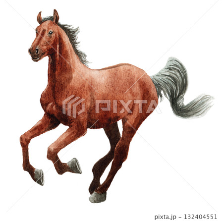 アナログ水彩画駆ける馬のイラスト素材 [132404551] - PIXTA