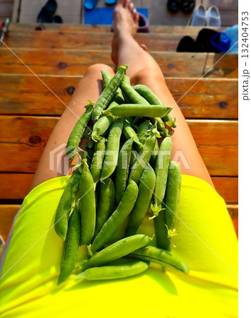 Freshly Picked Green Pea Pods Piled on a Person's Bright Yellow Shorts while Sunbathing on Wooden Stairs. 132404753