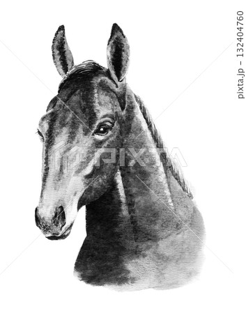 アナログモノトーン水彩画馬の顔 132404760