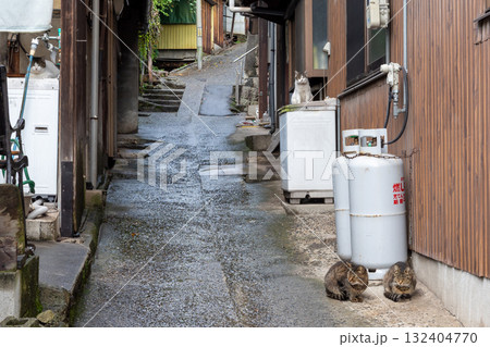 日本の広島県福山市の鞆の浦の古くてとても美しい建物と町並み 日本の広島県福山市の鞆の浦の古くてとても美しい建物と町並み 132404770
