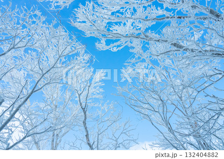 赤城山の雪晴れ10 132404882