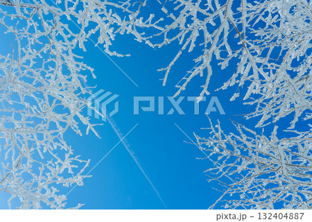 赤城山の雪晴れ15 132404887