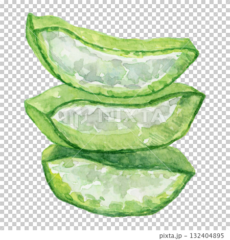 Sliced aloe leaves watercolor illustration Sliced aloe leaves watercolor illustration 132404895