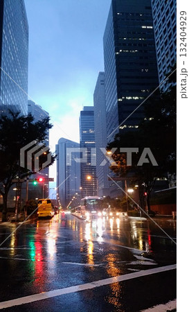 新宿の夕暮れ 132404929