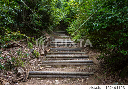 緩やかに上る山道 132405168