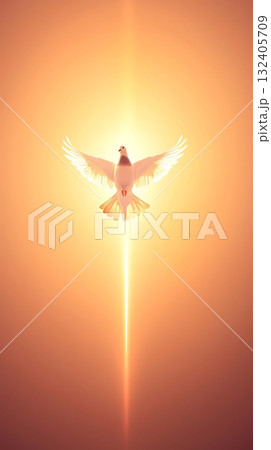 White dove is flying in the sky with a bright orange background 132405709