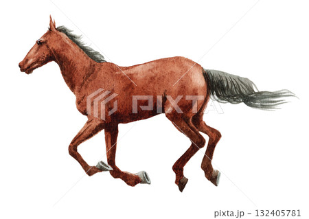 アナログ水彩画駆ける馬 アナログ水彩画駆ける馬 132405781