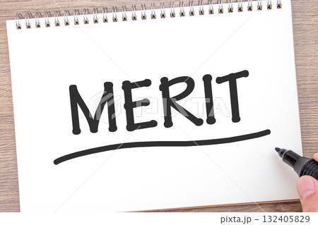 MERIT　メリット 132405829